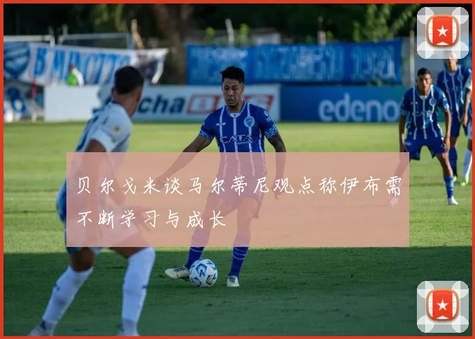 贝尔戈米谈马尔蒂尼观点称伊布需不断学习与成长