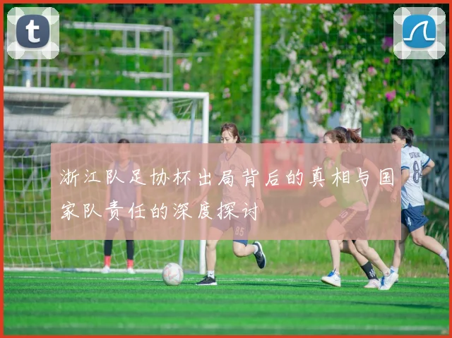 浙江队足协杯出局背后的真相与国家队责任的深度探讨