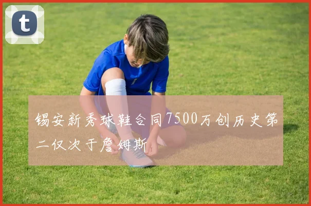 锡安新秀球鞋合同7500万创历史第二仅次于詹姆斯